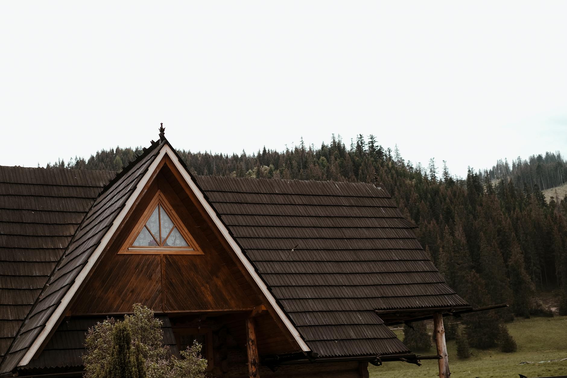 Tablica informacyjna w Zakopanem informująca o zasadach utrzymania czystości i porządku